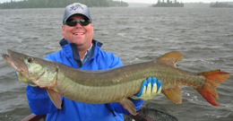 Muskie